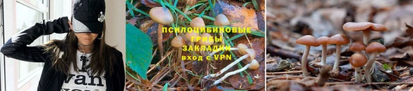 бутират Аркадак
