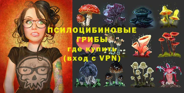 Альфа ПВП Арсеньев